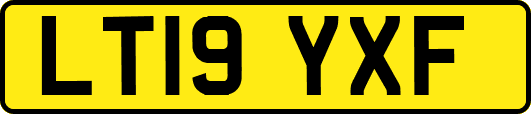 LT19YXF