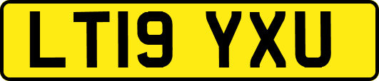 LT19YXU