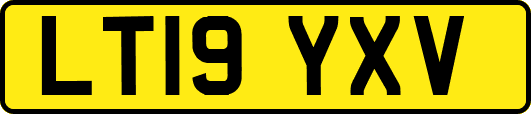 LT19YXV