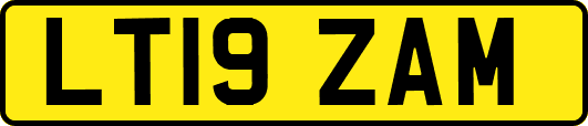 LT19ZAM