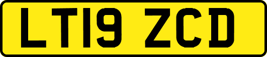 LT19ZCD