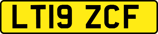 LT19ZCF