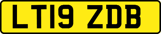 LT19ZDB