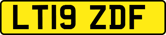 LT19ZDF
