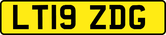 LT19ZDG