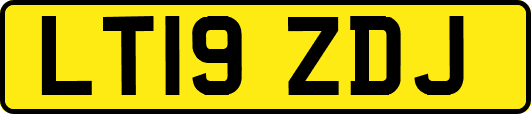 LT19ZDJ