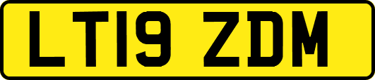 LT19ZDM