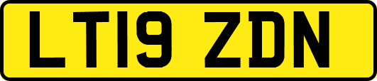 LT19ZDN