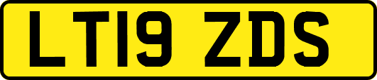 LT19ZDS