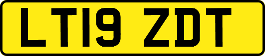 LT19ZDT