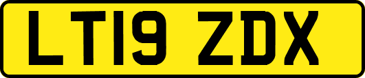 LT19ZDX