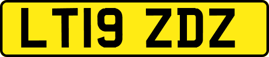 LT19ZDZ