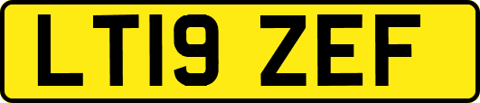 LT19ZEF