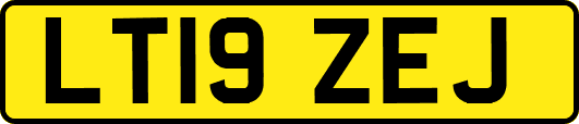 LT19ZEJ