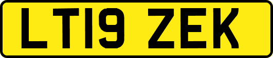 LT19ZEK
