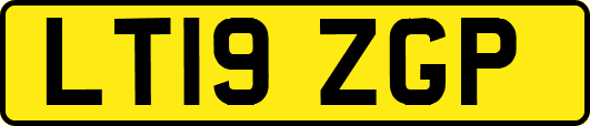 LT19ZGP