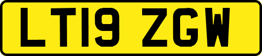LT19ZGW