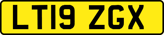 LT19ZGX