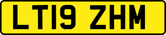 LT19ZHM