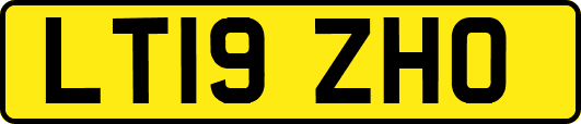 LT19ZHO