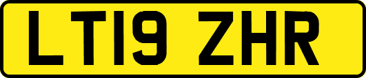LT19ZHR