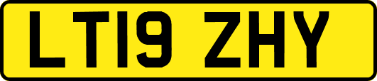 LT19ZHY