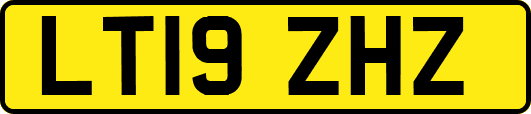 LT19ZHZ