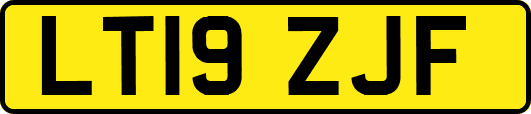 LT19ZJF