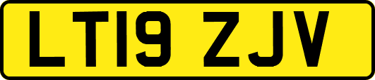LT19ZJV