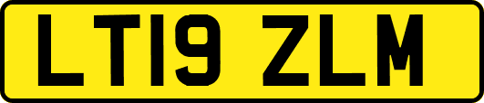 LT19ZLM