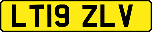 LT19ZLV