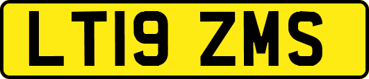 LT19ZMS