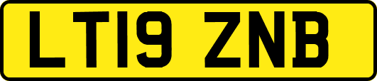 LT19ZNB