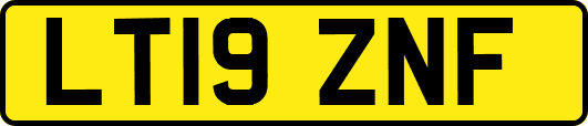 LT19ZNF