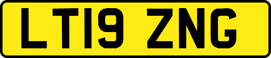 LT19ZNG