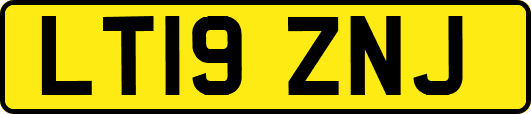 LT19ZNJ
