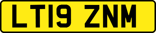 LT19ZNM