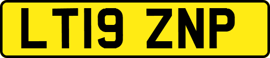 LT19ZNP