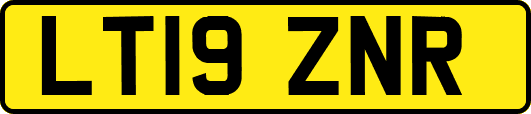 LT19ZNR