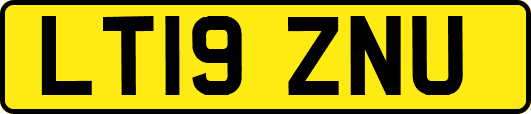 LT19ZNU