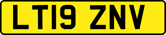 LT19ZNV