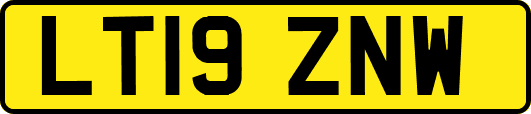 LT19ZNW