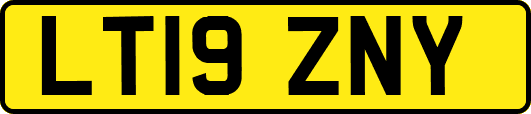 LT19ZNY