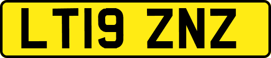 LT19ZNZ