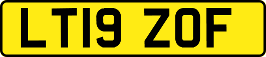 LT19ZOF