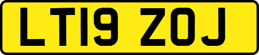 LT19ZOJ