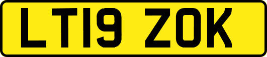 LT19ZOK