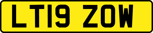 LT19ZOW