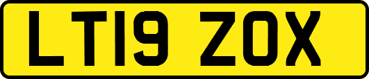 LT19ZOX