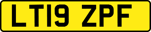 LT19ZPF